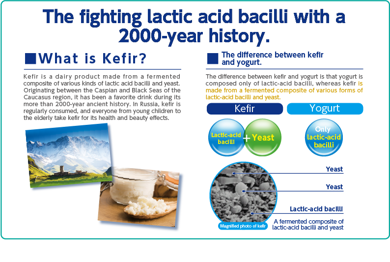 2000年の歴史をもつ戦う乳酸菌