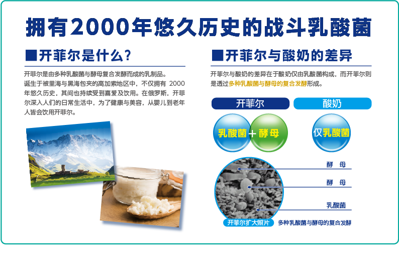 2000年の歴史をもつ戦う乳酸菌